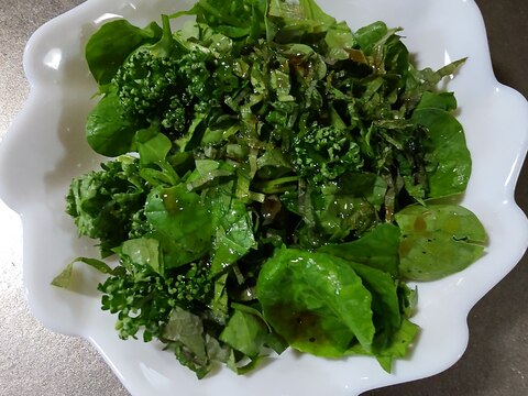 小松菜の抜き菜のグリーンサラダ